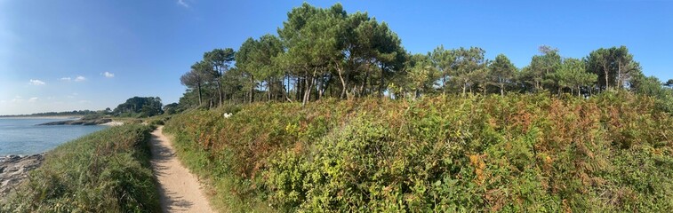 Le long de la côte à Combrit Sainte-Marine en Bretagne Cornouaille Finistère France	