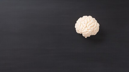 A realistic model of a human brain on a dark background, emphasizing its intricate structure