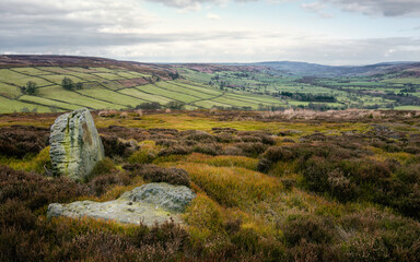 North York Moors with heather and fields under bright sky, Glaisdale, UK.
