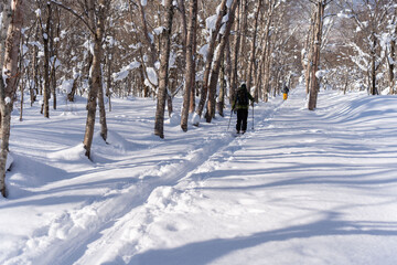 羊蹄山　山スキー　登高
