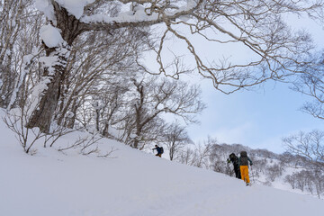 羊蹄山　山スキー　登高
