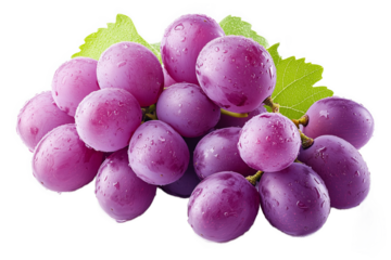 PNG cut out isolated background. A cluster of fresh purple grapes covered in water droplets, highlighting their juicy and ripe texture.