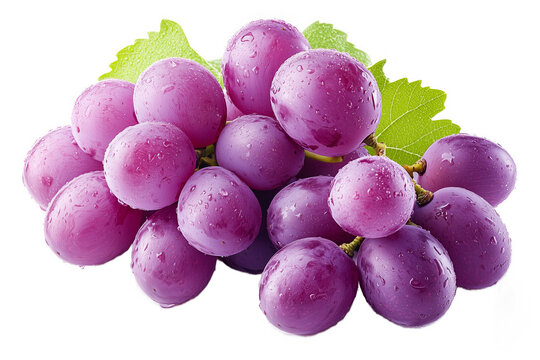PNG cut out isolated background. A cluster of fresh purple grapes covered in water droplets, highlighting their juicy and ripe texture.