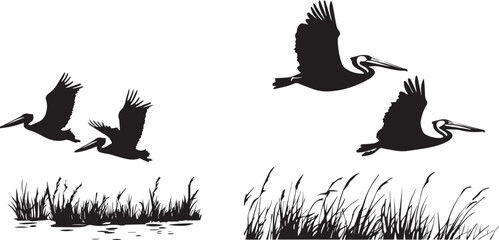 Silhouette of a pair of pelicans flying over a wetland at dawn vector silhouette © Nazia