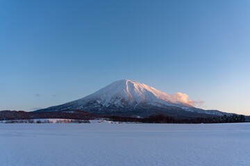 冬の羊蹄山　倶知安町より