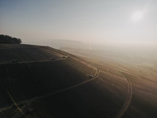 Fototapeta premium Frostige Weinberglandschaft in 74235 Erlenbach: Winterlicher Reiz in den Weinbergen