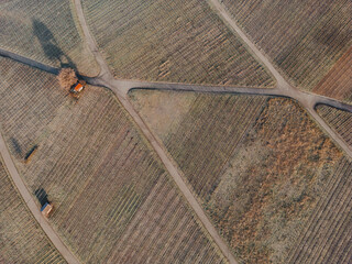 Frostige Weinberglandschaft in 74235 Erlenbach: Winterlicher Reiz in den Weinbergen