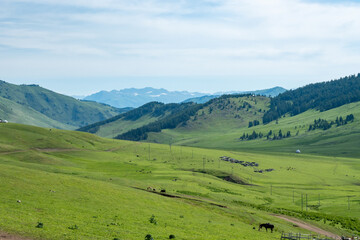 Obraz premium Kanas Scenic Area, Xinjiang Uygur Autonomous Region, China