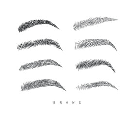 Eyebrows collection set in different shape form drawing with black on white background