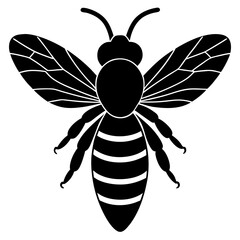 Honeybee Silhouette Gracefully Resting on White Background