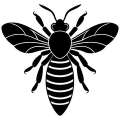 Honeybee Silhouette Gracefully Resting on White Background