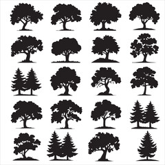 set of black vector various forest tree silhouette	
