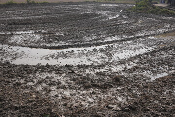 The plowed agricultural field with impression of the power tiller tires