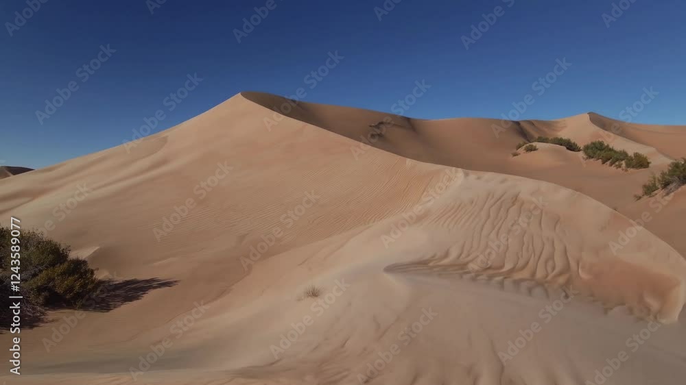 Poster windswept sand dunes revealing intricate patterns under sunlight, creating mesmerizing textures acro