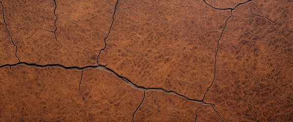 Obraz premium Close-up of textured brown leather surface with vintage and rough appearance