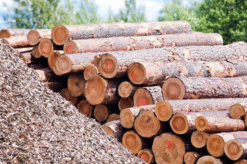 The photo shows round wooden logs and a pile of wood chips.