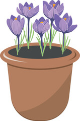 Cute flower pot with crocuses isolated on white background. Springtime first flowers in flat style. Spring time, garden chores. Vector