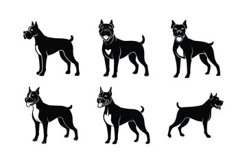 Various Boxer dog silhouettes set isolated on white