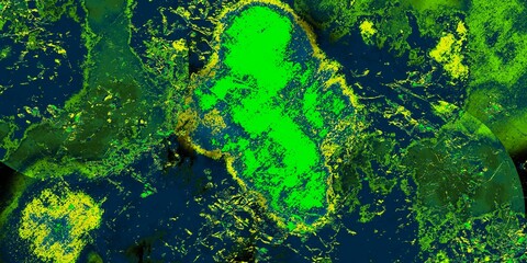 green moss on the stone green winter grunge watercolor background texture wallpaper texture old stone wall light effect background dark black effect graphics cover page template old wall unique patter