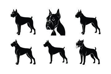 Boxer dog silhouette set isolated on white background