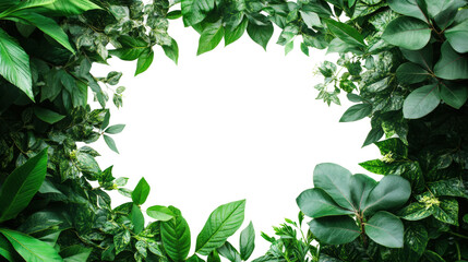 Fototapeta premium Lush greenery framed view nature setting botanical isolated on transparent background