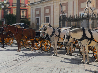 
Horse carriage waiting for tourists near Giralda, bell tower of the Seville Cathedral, in the...