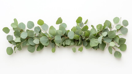 Elegant horizontal arrangement of eucalyptus branches for natural home decor