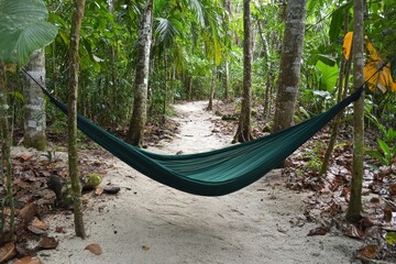 Fototapeta premium Serene Hammock Nestled Among Lush Green Tropical Trees