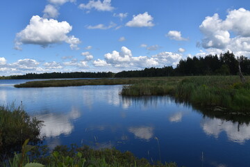 Reflection on the lake in summer, Québec, Canada