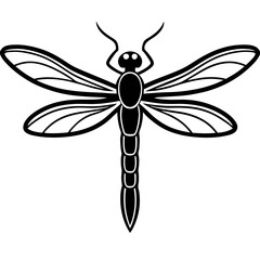 dragonfly vector illustration