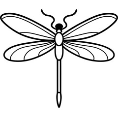 Elegant Dragonfly Illustration in Minimalist Black and White Design