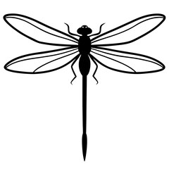 Elegant Dragonfly Illustration in Minimalist Black and White Design