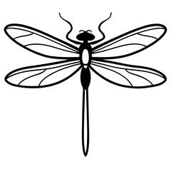 Elegant Dragonfly Illustration in Minimalist Black and White Design