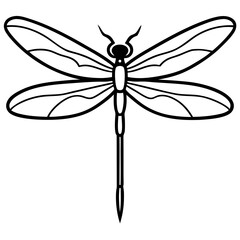 Elegant Dragonfly Illustration in Minimalist Black and White Design