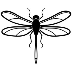 Elegant Dragonfly Illustration in Minimalist Black and White Design