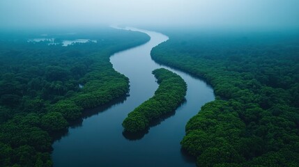 Fototapeta premium Misty River Winding Through Lush Mangrove Forest