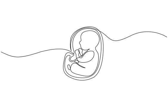 recommend clip art: Baby embryo in womb, fetus one art line continuous drawing, Continuous line of fetus in womb.one line drawing of baby fetus in mother's stomach in gestational age.