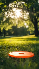 Orange Frisbee Rests in Sunny Green Grass