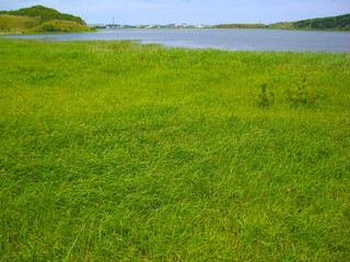 北海道　礼文島の風景(久種湖)
