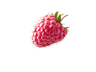 Ripe Raspberries Falling Isolated on White Background