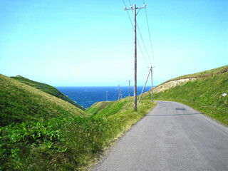 北海道　礼文島の風景