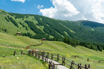 Scenery of Kanas Scenic Area in Xinjiang Uygur Autonomous Region, China