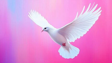 Fototapeta premium White Dove in Flight - A pristine white dove soars gracefully against a soft pink and purple background. Symbol of peace and hope.