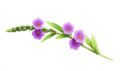 Delicate Purple Flowers with Green Leaves on a Light Background