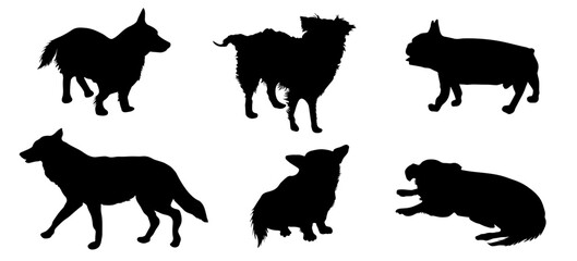 Black silhouettes of various dog breeds walking, standing, sitting and playing. Vector illustration