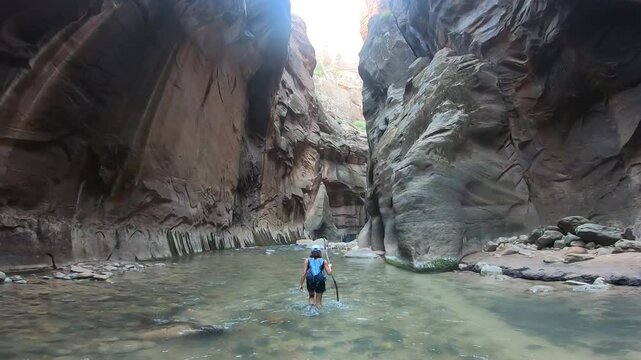 Woman Walking Through the Virgin River in The Narrows, Zion National Park