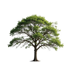 Resilient Tree Silhouette