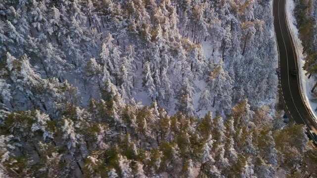 A lonely road by the Mountains of Navacerrada