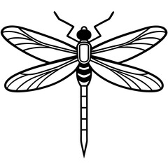 Stylized Dragonfly Drawing with Detailed Wings and Body