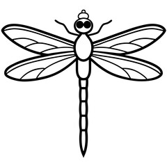 Stylized Dragonfly Drawing with Detailed Wings and Body